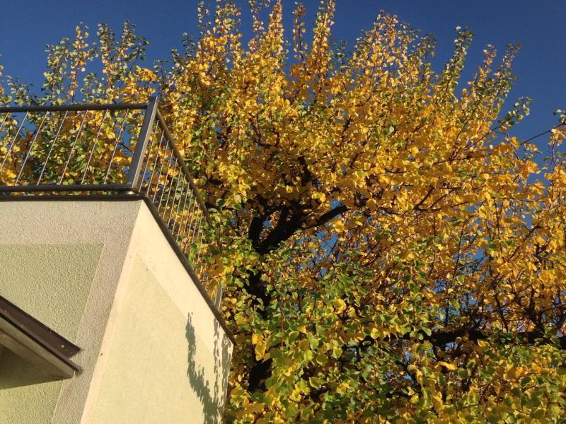 Ajo - Alte Donau Garden Flat - Self-check-in Viena